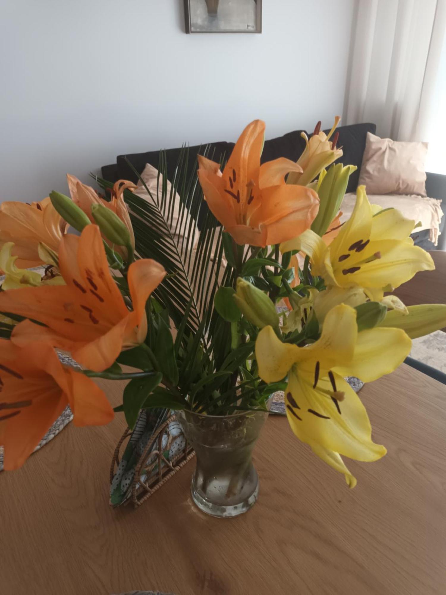 Apartament Lilla 2 옐레니아구라 외부 사진